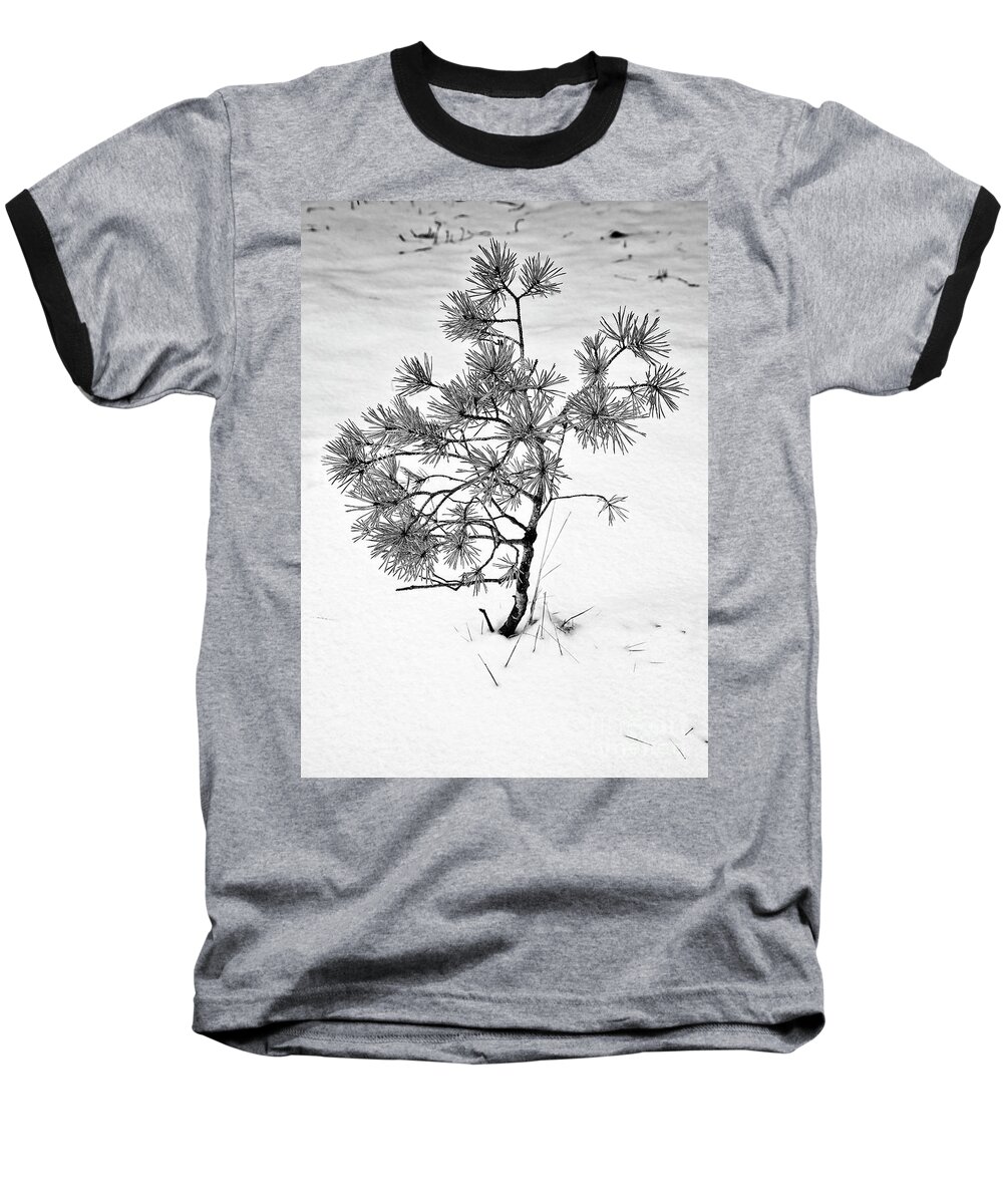 Tree Baseball T-Shirt featuring the photograph Tree in Winter by Martyn Arnold