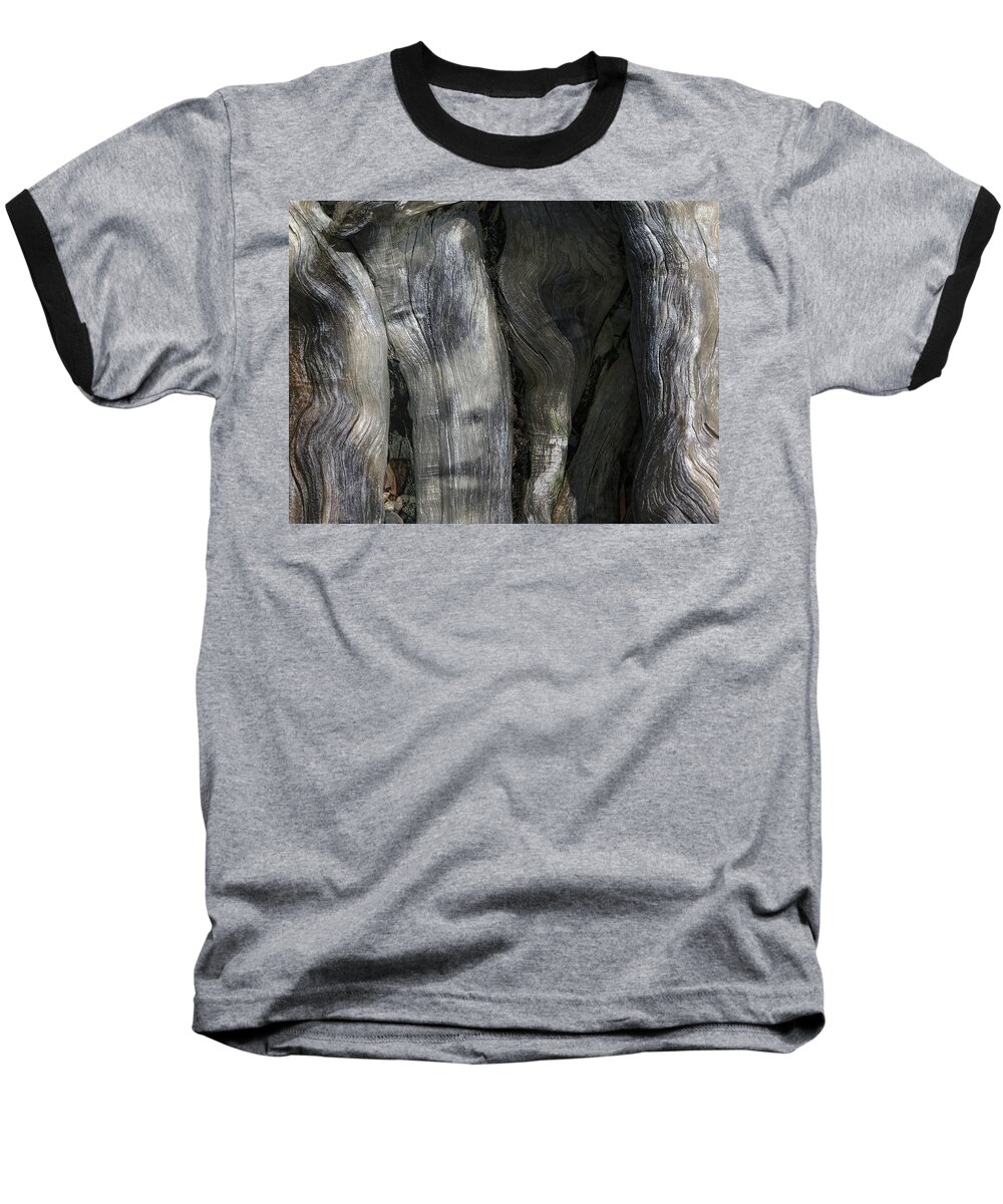 Trees Baseball T-Shirt featuring the photograph Tree Memories # 20 by Ed Hall