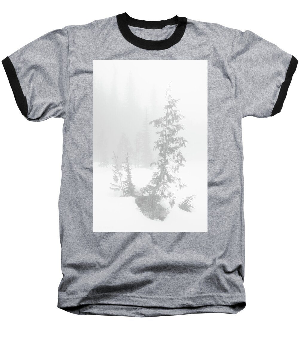 Tree Baseball T-Shirt featuring the photograph Trees in Fog Monochrome by Tim Newton