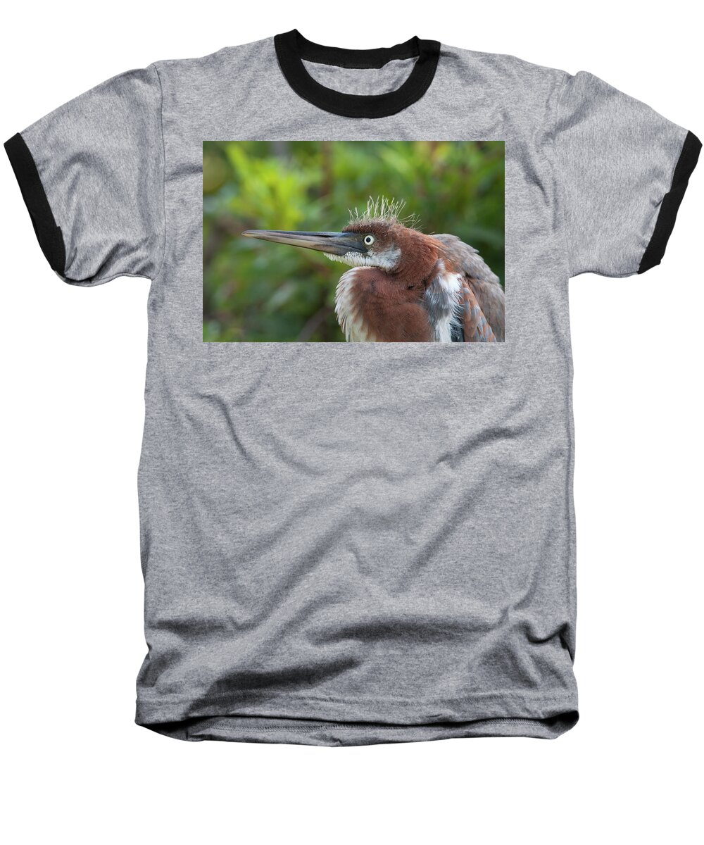 Heron Baseball T-Shirt featuring the photograph Tricolored Heron - Bad Hair Day by Paul Rebmann