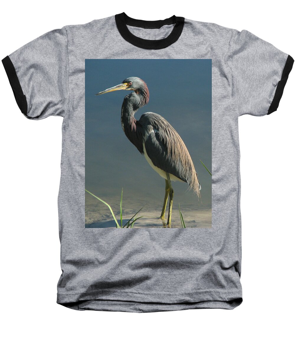Nature Baseball T-Shirt featuring the photograph Tricolored Heron by Peggy Urban