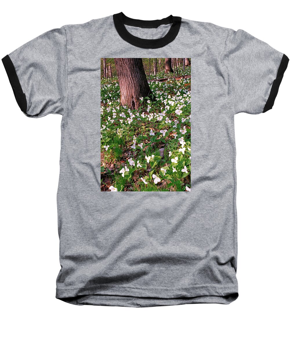 Trillium Woods Baseball T-Shirt featuring the photograph Trillium Woods No. 1 by Kris Rasmusson