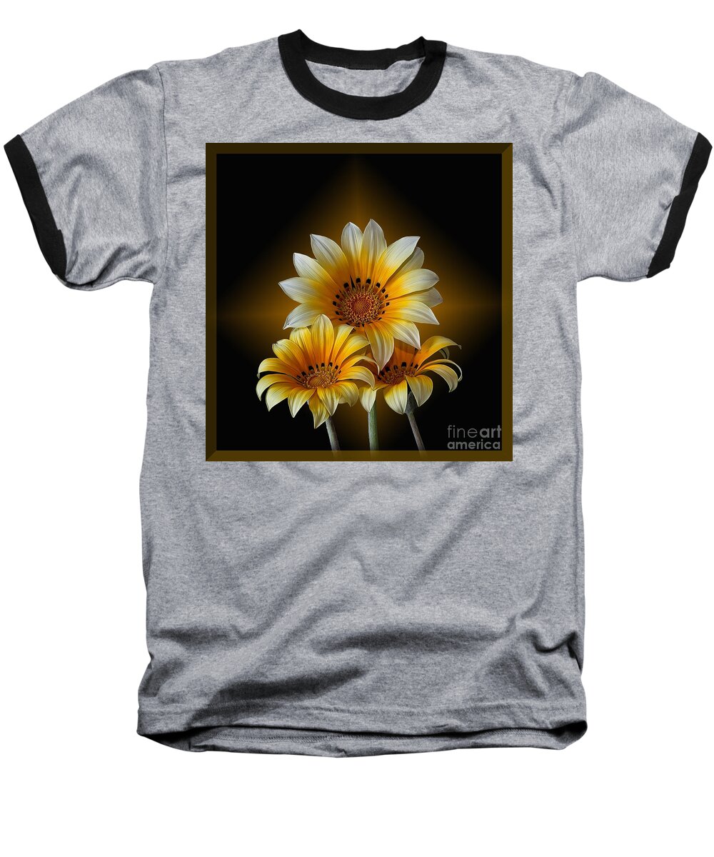 Peruvian Daisy Baseball T-Shirt featuring the photograph Triple Sunshine Black and Gold by Shirley Mangini
