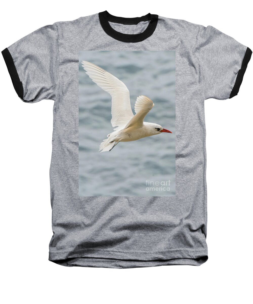 Bird Baseball T-Shirt featuring the photograph Tropic Bird 2 by Werner Padarin