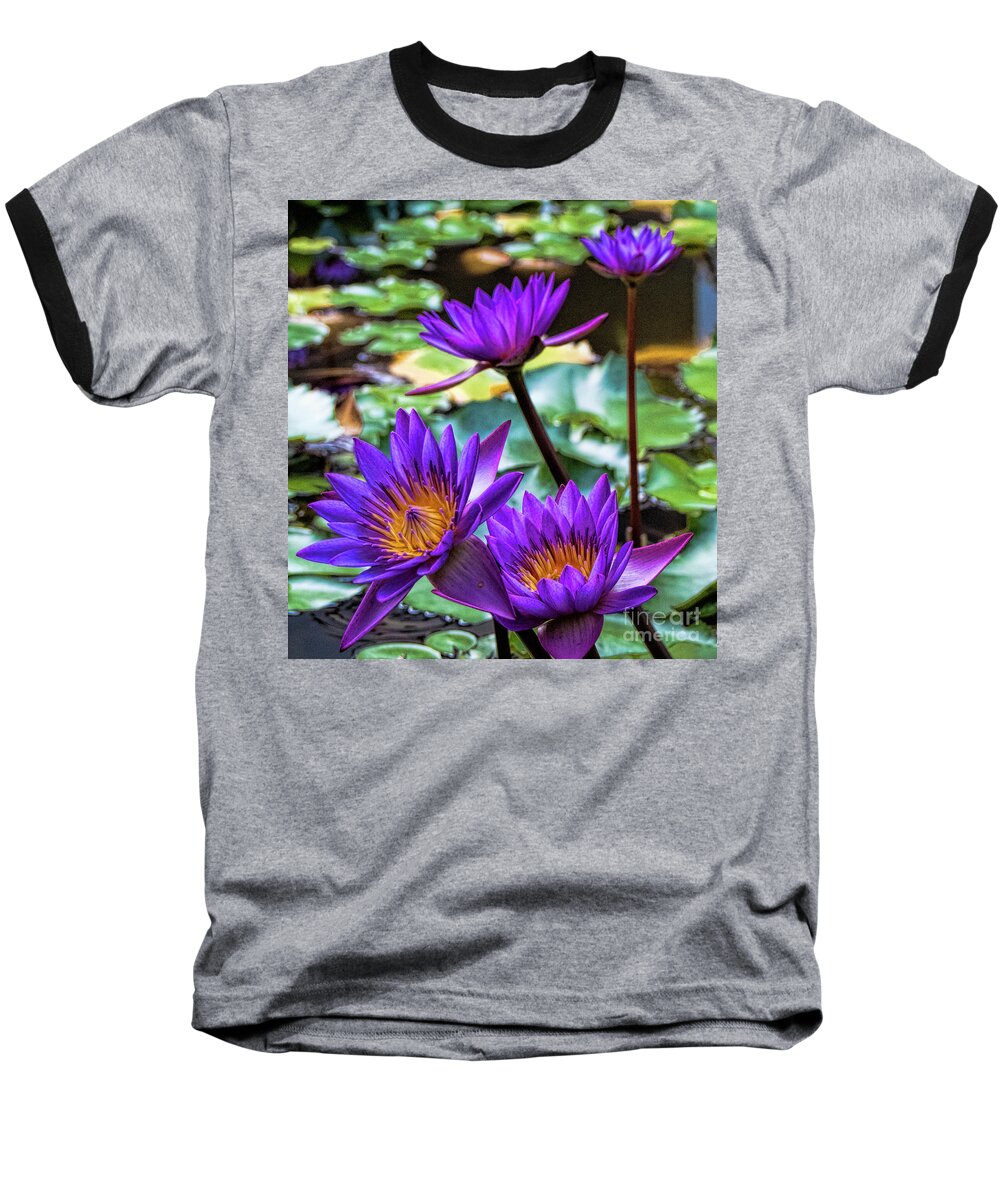 Water Lily Baseball T-Shirt featuring the photograph Tropical Water Lilies by Karen Lewis