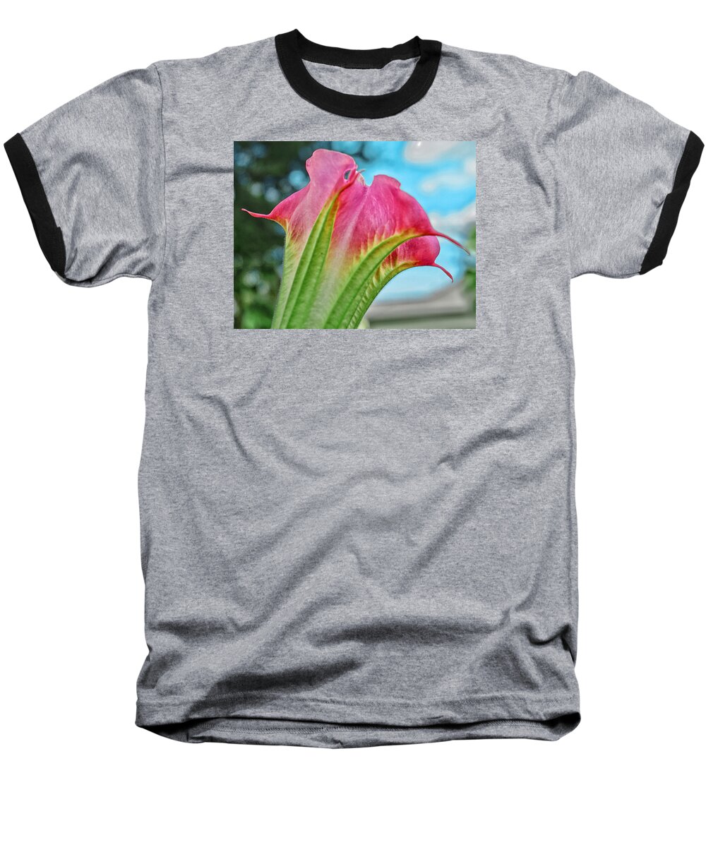 Trumpet Plant Baseball T-Shirt featuring the photograph Trumpet by Dennis Dugan