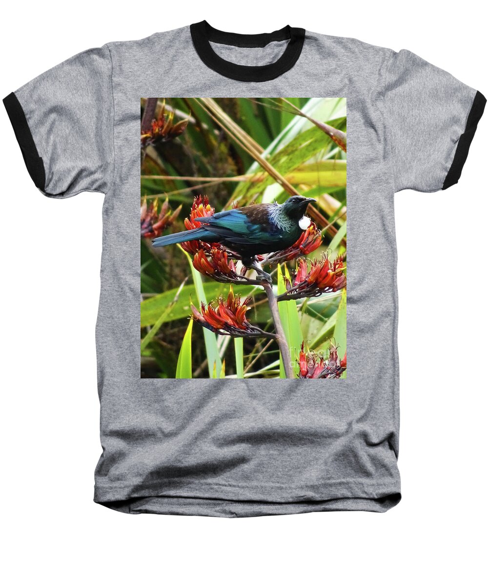 Tui Baseball T-Shirt featuring the photograph Tui in Flax by Angela DeFrias
