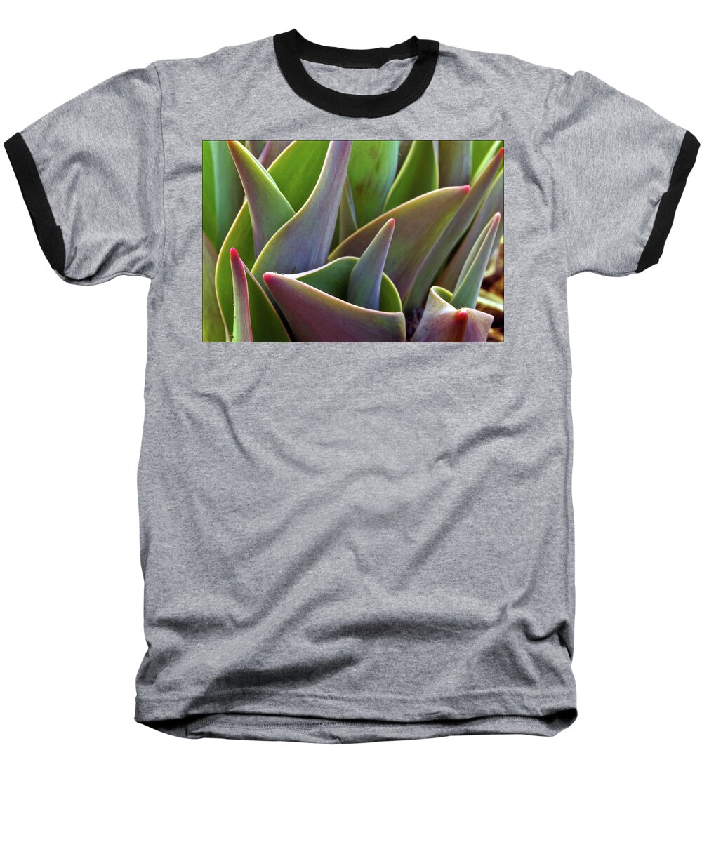 Leaves Baseball T-Shirt featuring the photograph Tulip Leaves by Jarmo Honkanen