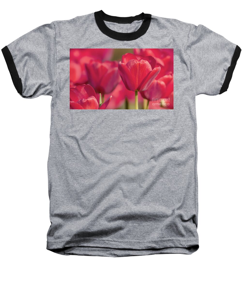  Paintings Baseball T-Shirt featuring the painting Tulips flowers paint by Odon Czintos