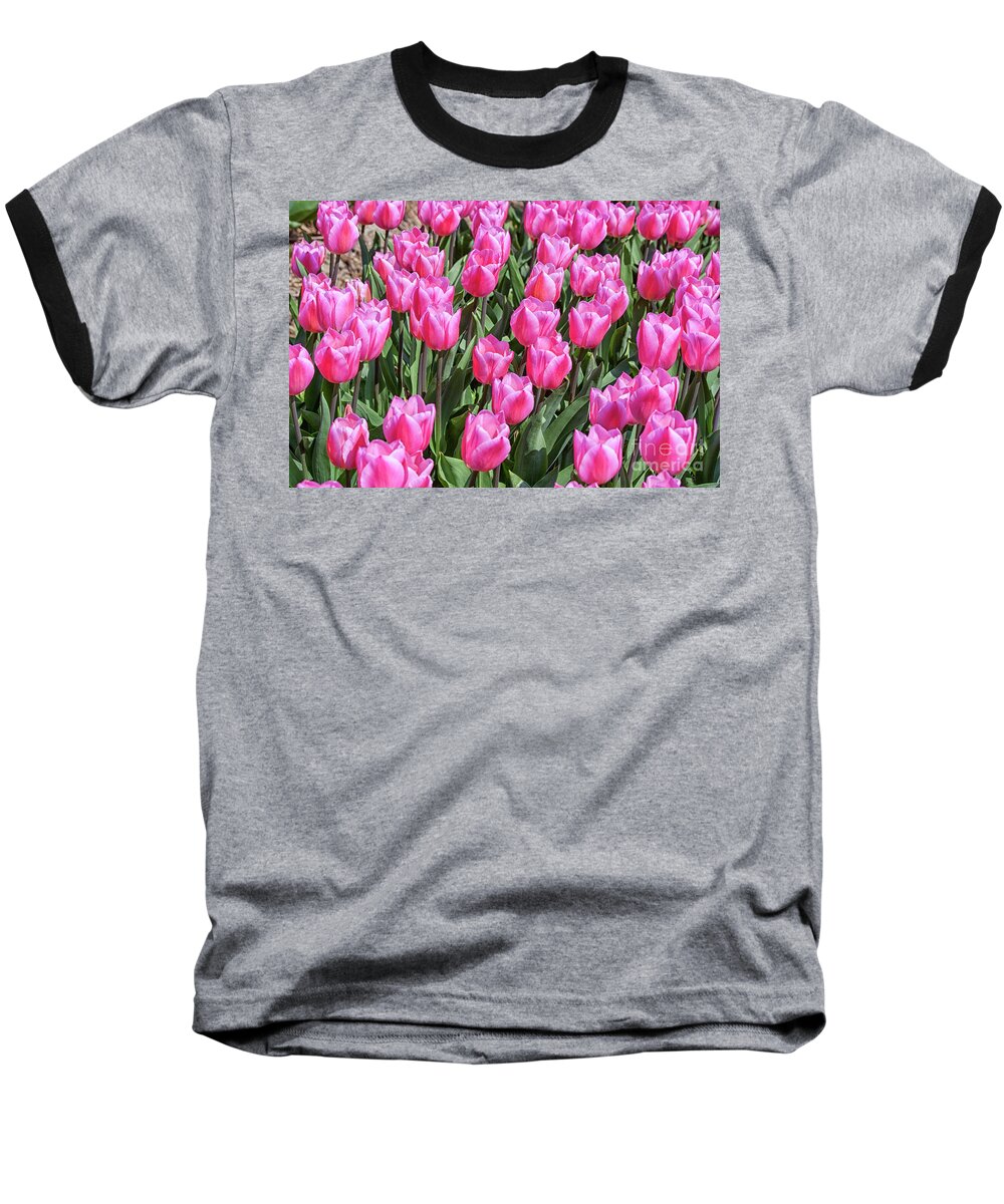 Tulips Baseball T-Shirt featuring the photograph Tulips in pink color by Patricia Hofmeester