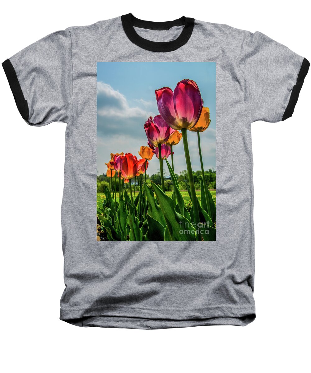 Nature Baseball T-Shirt featuring the photograph Tulips in the Spring by Jane Axman