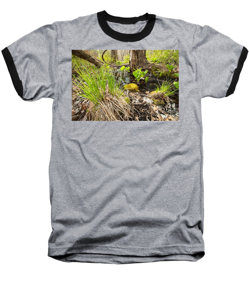 Connecticut Baseball T-Shirt featuring the photograph Tussock by the Brook - Springtime Wetlands by JG Coleman