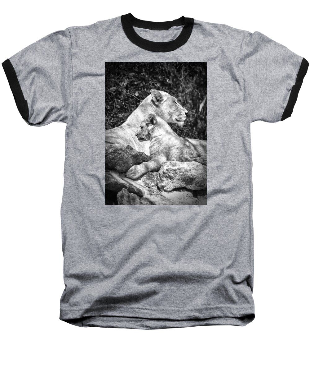 Crystal Yingling Baseball T-Shirt featuring the photograph Twin Sphinx by Ghostwinds Photography