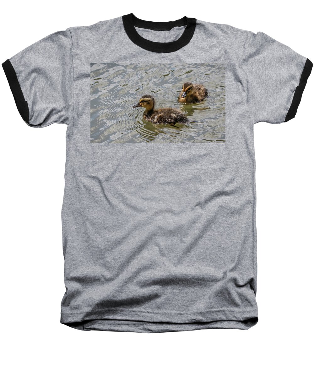 Mallard Duck Baseball T-Shirt featuring the photograph Two Baby Ducks by Ray Congrove