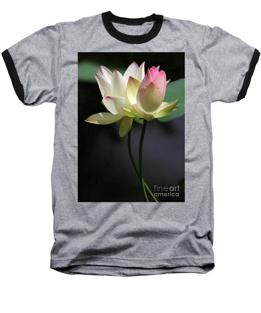 Lotus Baseball T-Shirt featuring the photograph Two Lotus Flowers by Sabrina L Ryan