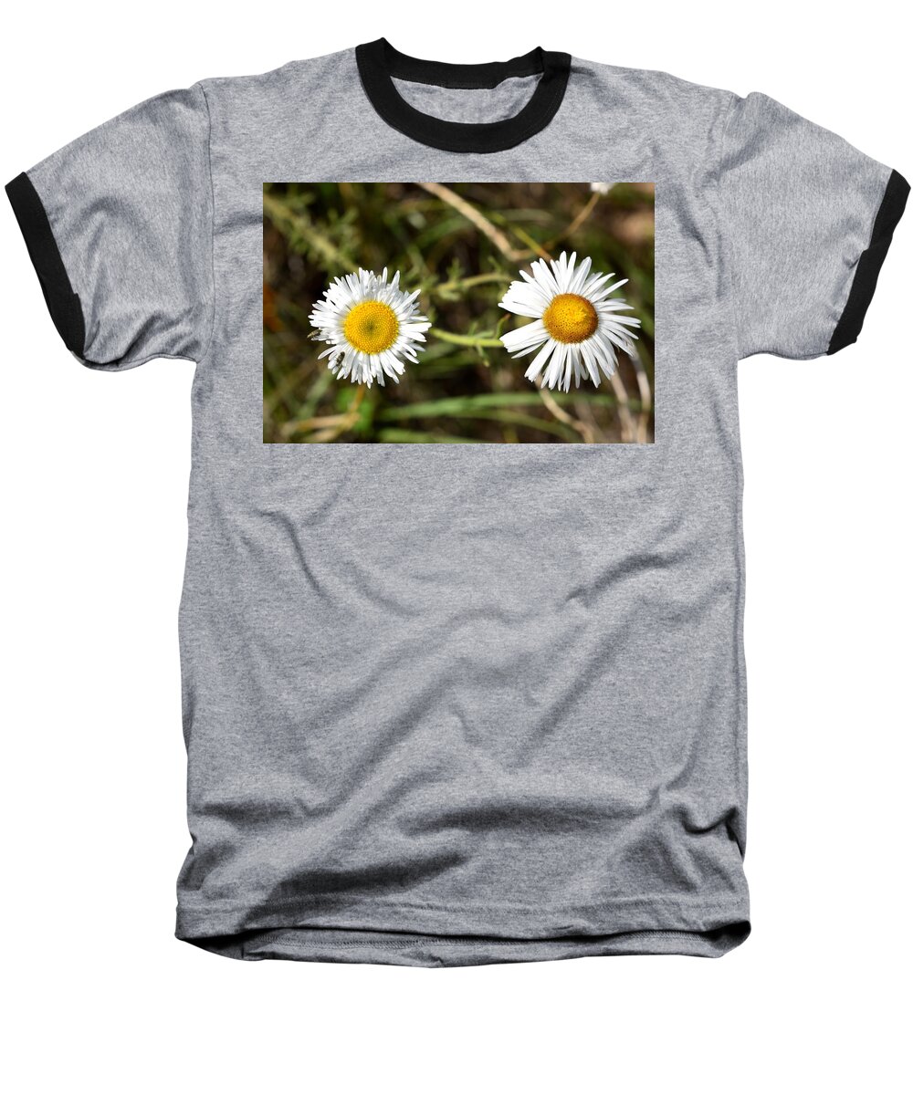 Daisy Baseball T-Shirt featuring the photograph Two of a Kind by Melisa Elliott