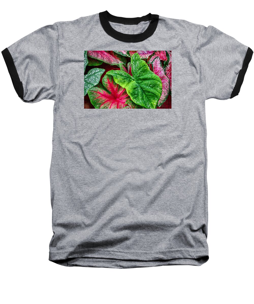 Flora Baseball T-Shirt featuring the photograph Under The Oak by Ches Black