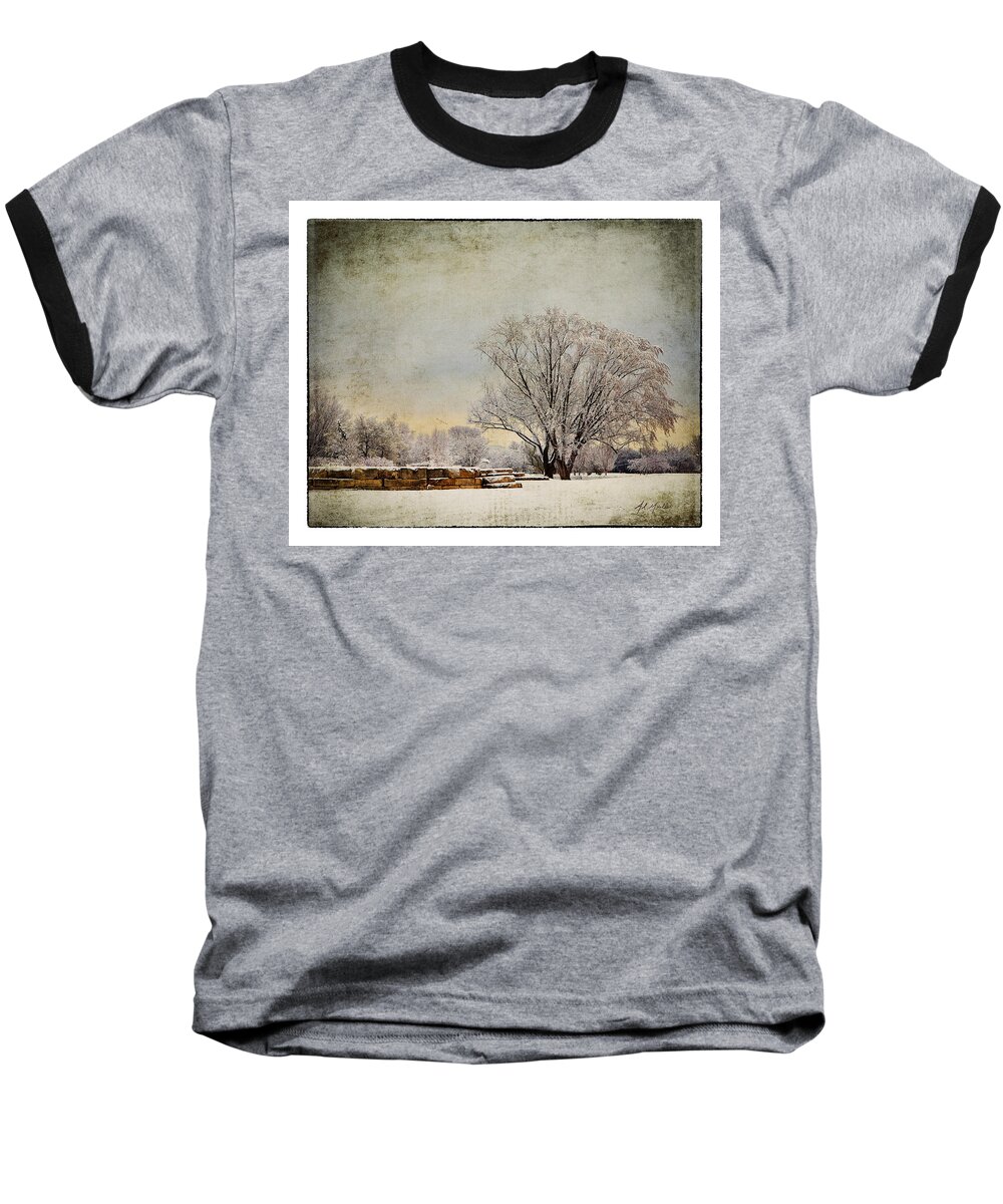 Tree Baseball T-Shirt featuring the photograph Unity Park 1 by Al Mueller
