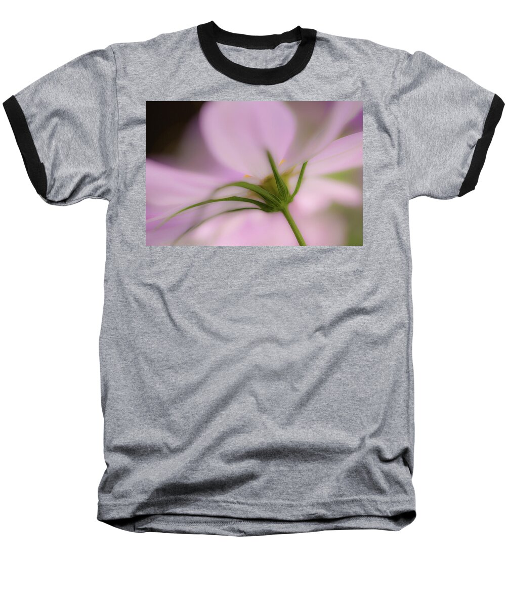 Cosmos Baseball T-Shirt featuring the photograph Uplifting by Bob Cournoyer