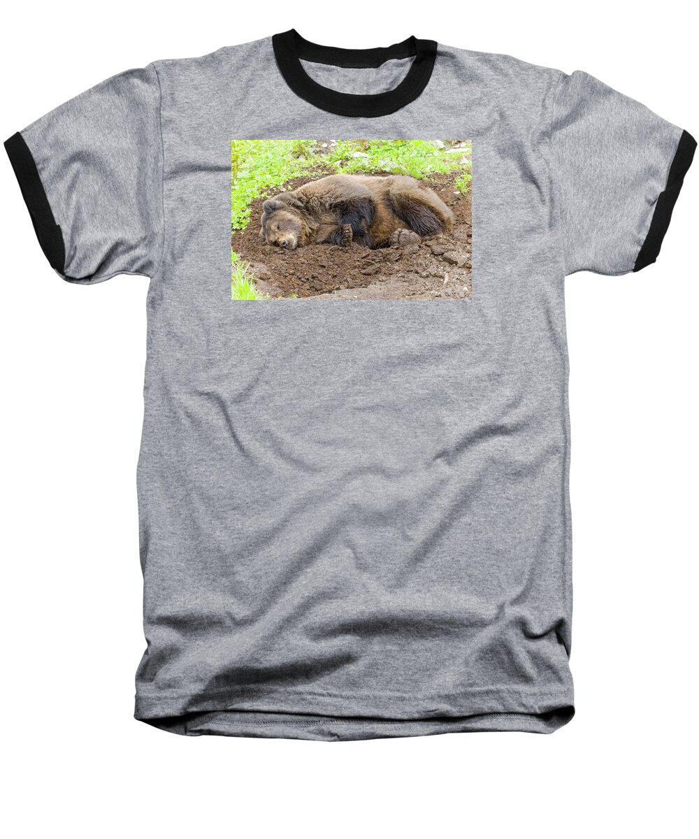 Wildlife. Brown Baseball T-Shirt featuring the photograph Veggin Out by Harold Piskiel