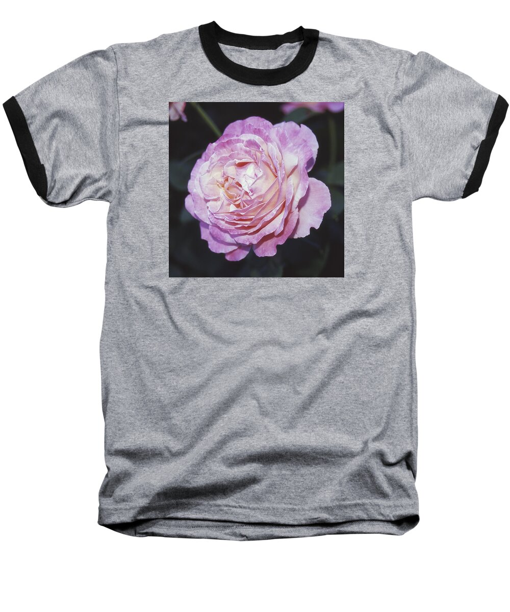 Rose Baseball T-Shirt featuring the photograph Velvia Rose by HW Kateley
