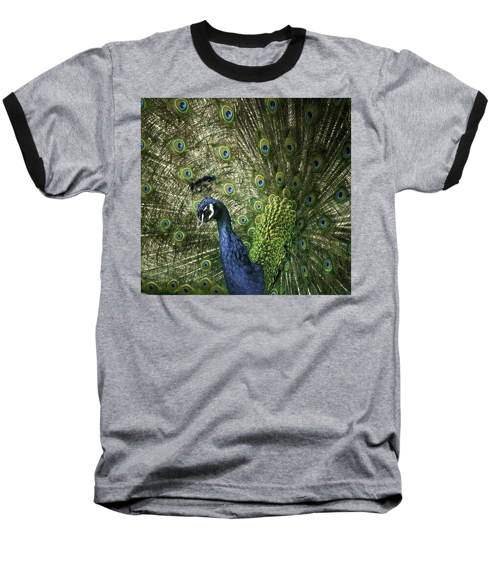 Male Peacock Baseball T-Shirt featuring the photograph Vibrant Peacock by Jason Moynihan