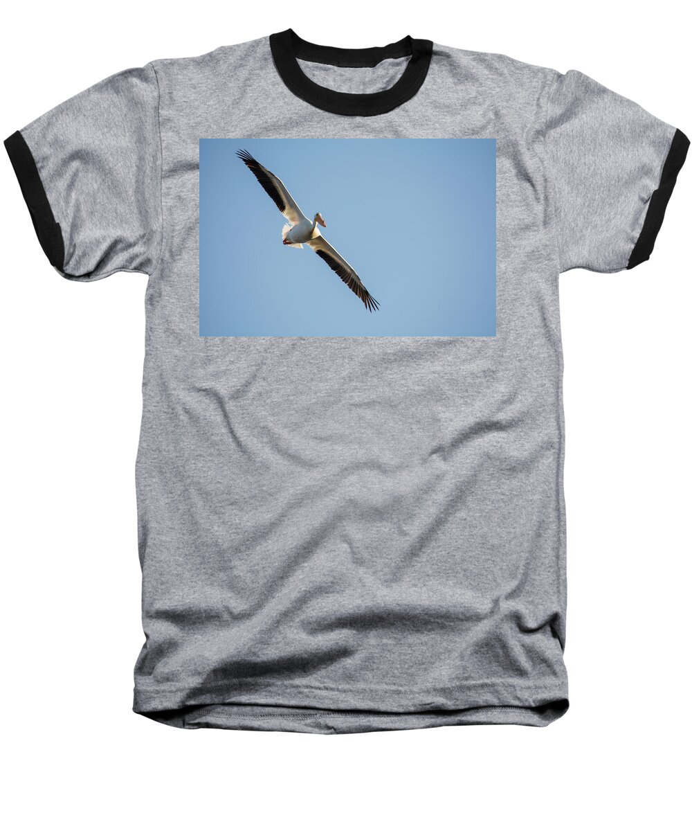 Pelican Baseball T-Shirt featuring the photograph Voyage by Brian Duram
