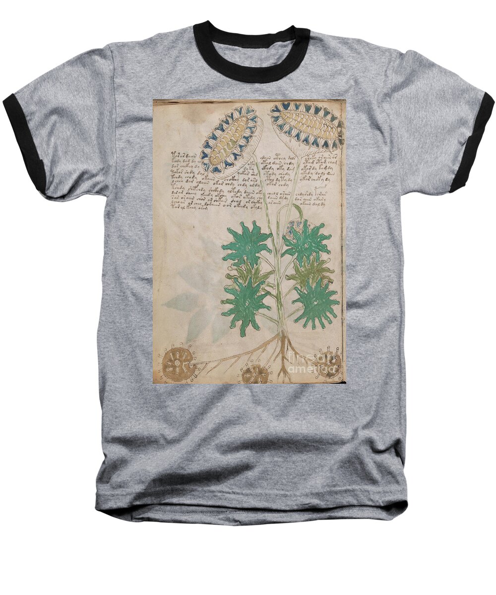 Plant Baseball T-Shirt featuring the drawing Voynich flora 04 by Rick Bures