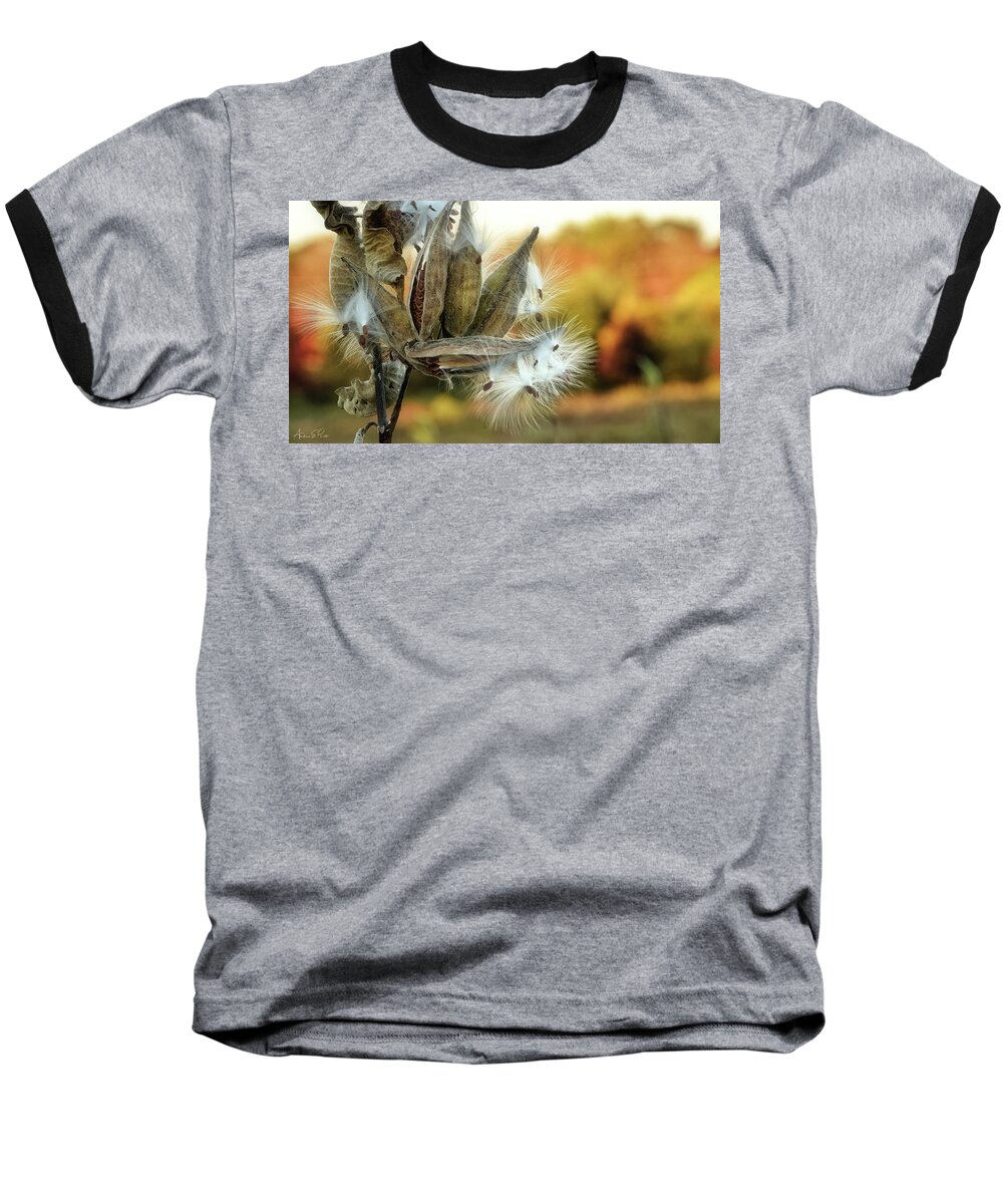 Autumn Baseball T-Shirt featuring the photograph Waiting on the Wind by Andrea Platt