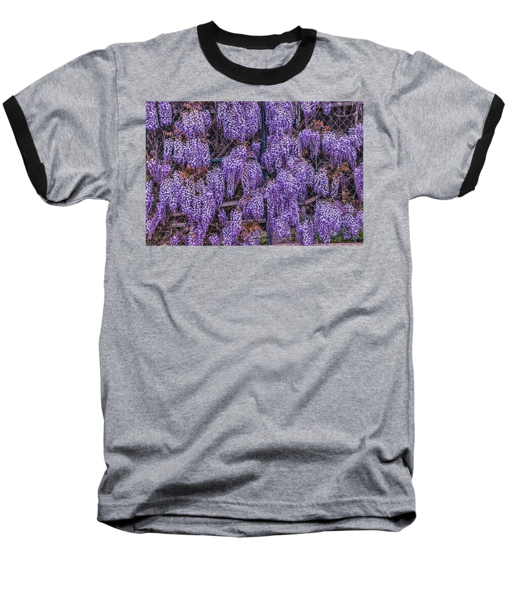 Beautiful Baseball T-Shirt featuring the photograph Wall of Wisteria by Connie Cooper-Edwards