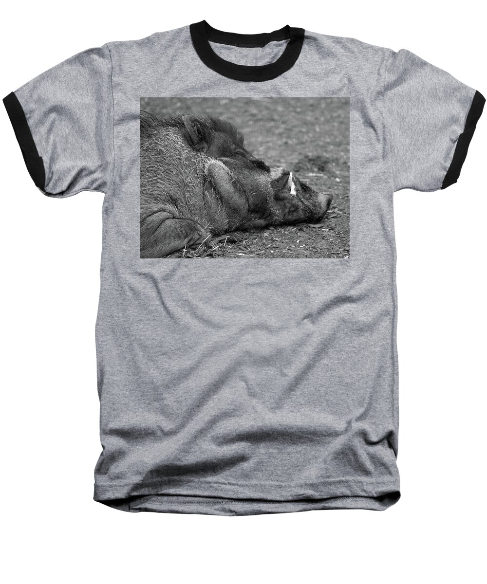Warty Hog Baseball T-Shirt featuring the photograph Warty hog by Ed James