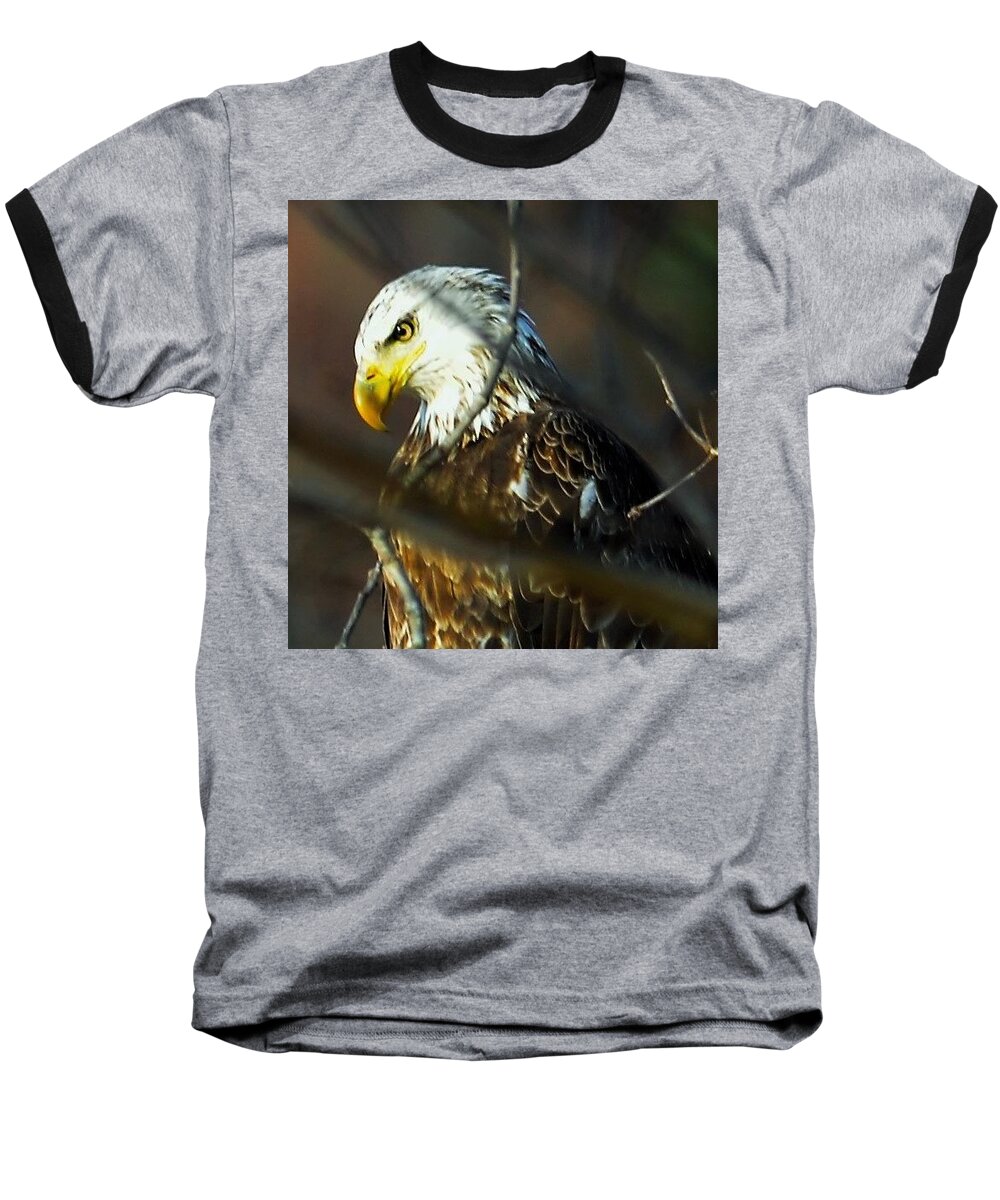  Baseball T-Shirt featuring the photograph Watchful Eye by Chuck Brown