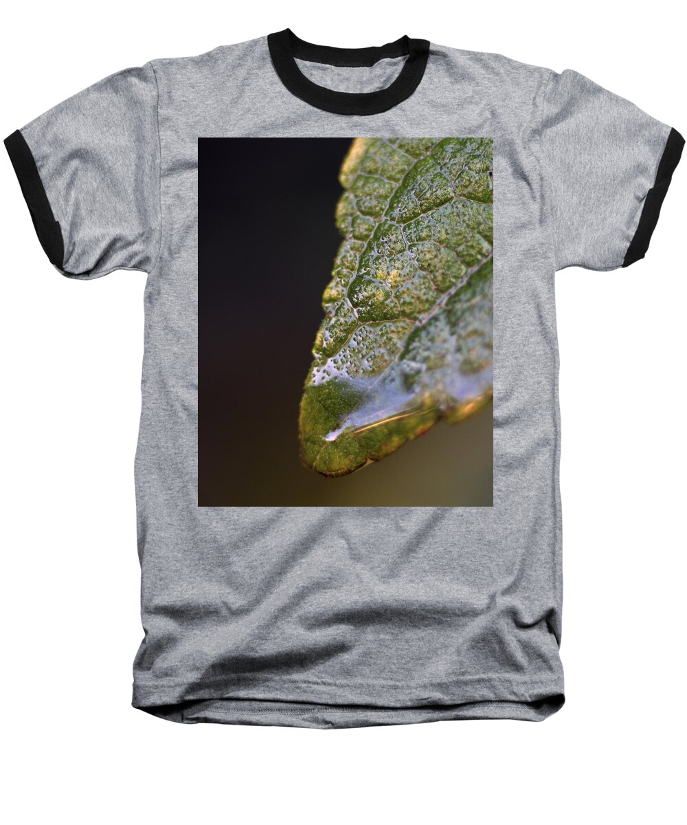 Macro Photography Baseball T-Shirt featuring the photograph Water Droplet V by Richard Rizzo