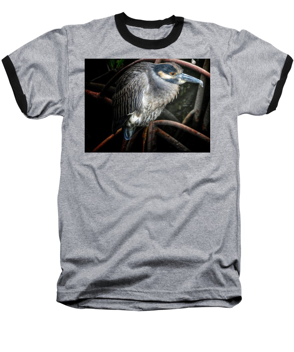 Anne Kolb Baseball T-Shirt featuring the photograph Water Fowl IV by Kathi Isserman