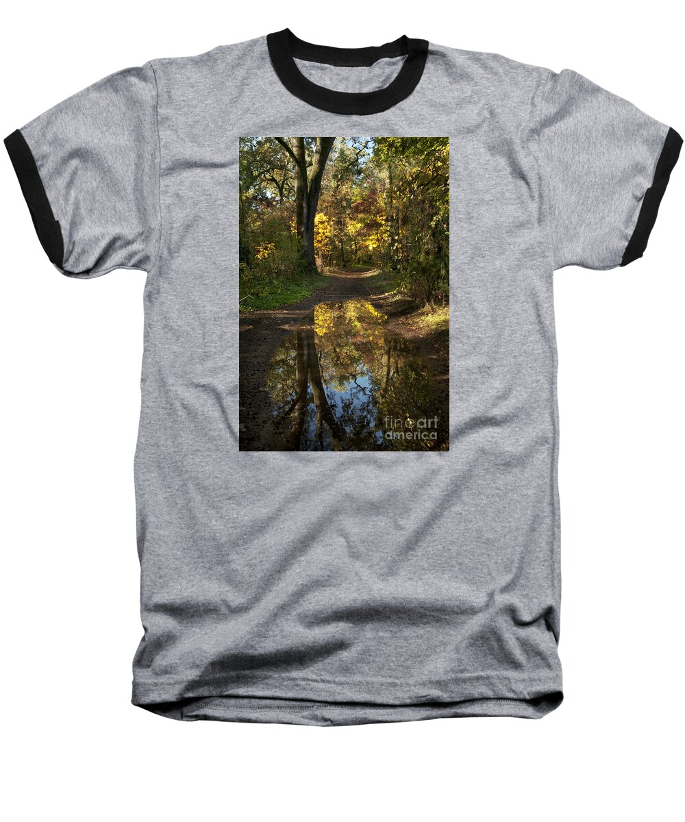 Landscape Baseball T-Shirt featuring the photograph Water on the trail by Richard Verkuyl