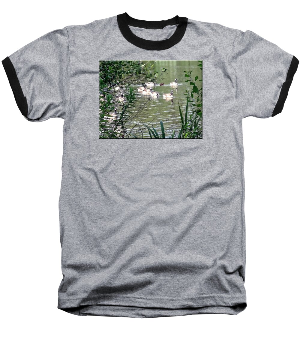 Park Baseball T-Shirt featuring the photograph Waterfowl at the park by Mikki Cucuzzo