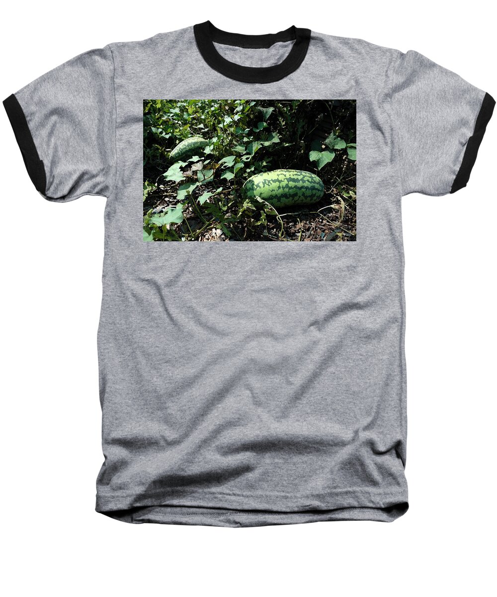 Flowers Baseball T-Shirt featuring the photograph Watermelons by Michael Thomas