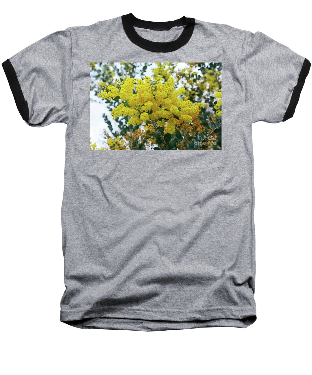 Photography Baseball T-Shirt featuring the photograph Wattle Against Winter Sky by Kaye Menner by Kaye Menner