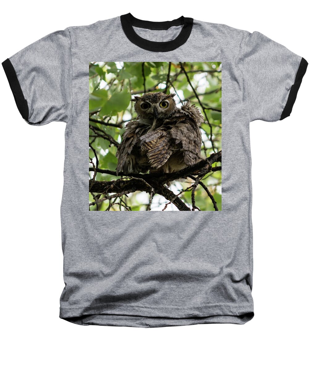 Great Horned Owl Baseball T-Shirt featuring the photograph Wet Owl by Douglas Killourie