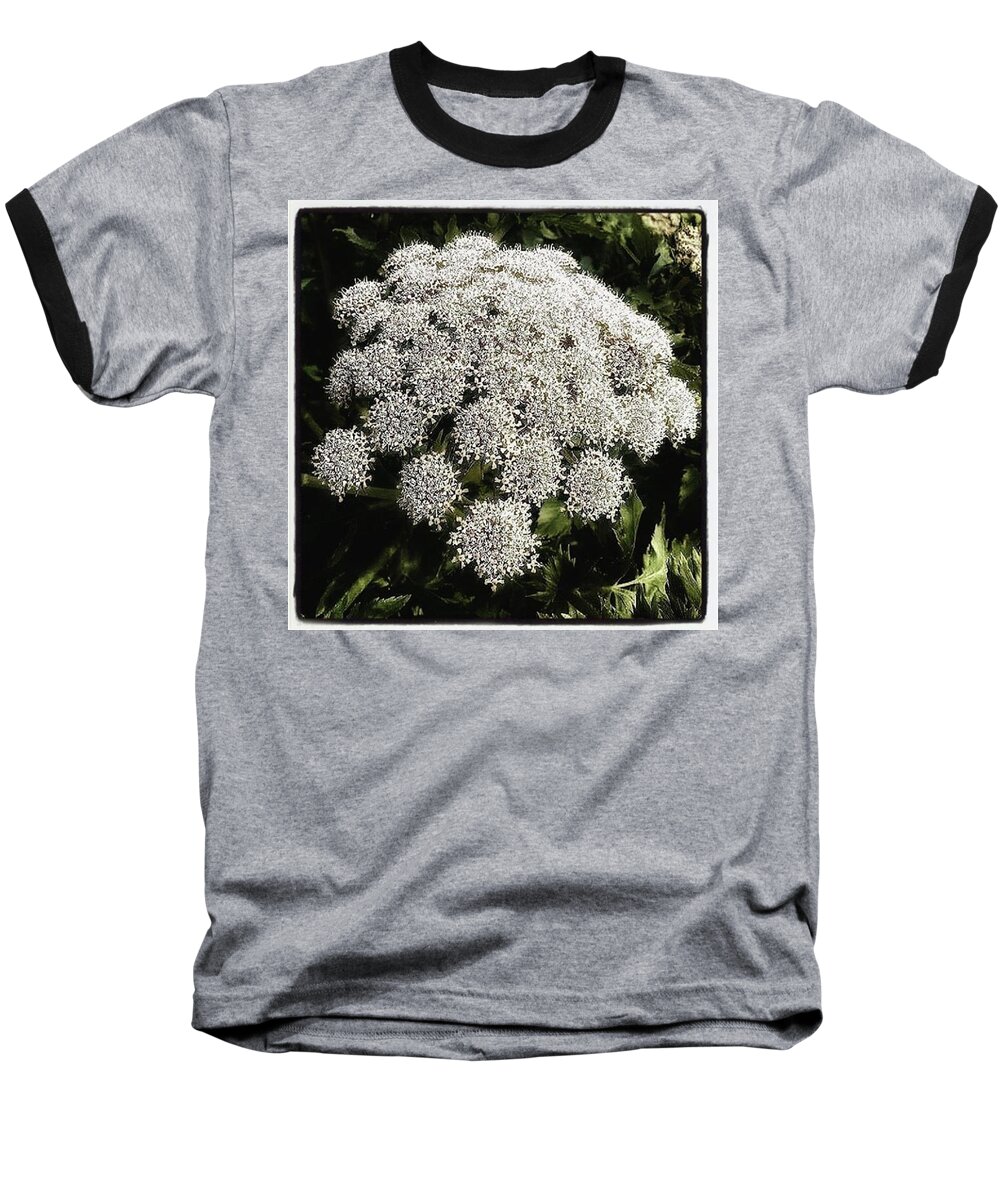 Flowers Baseball T-Shirt featuring the photograph What Flower Is This? I Think It's by Mr Photojimsf