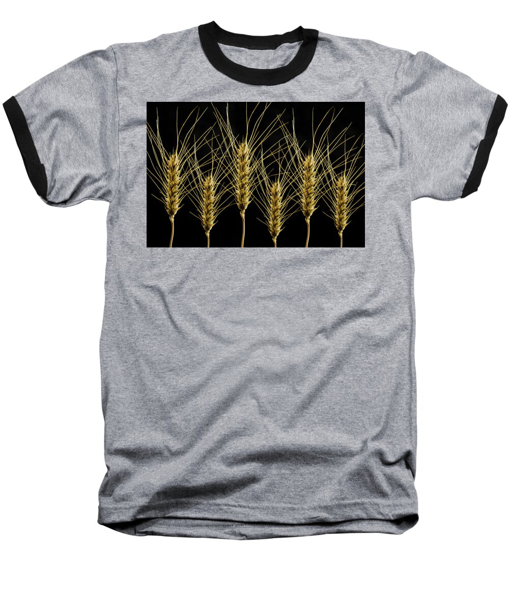 Wheat Baseball T-Shirt featuring the photograph Wheat in a Row by Wolfgang Stocker