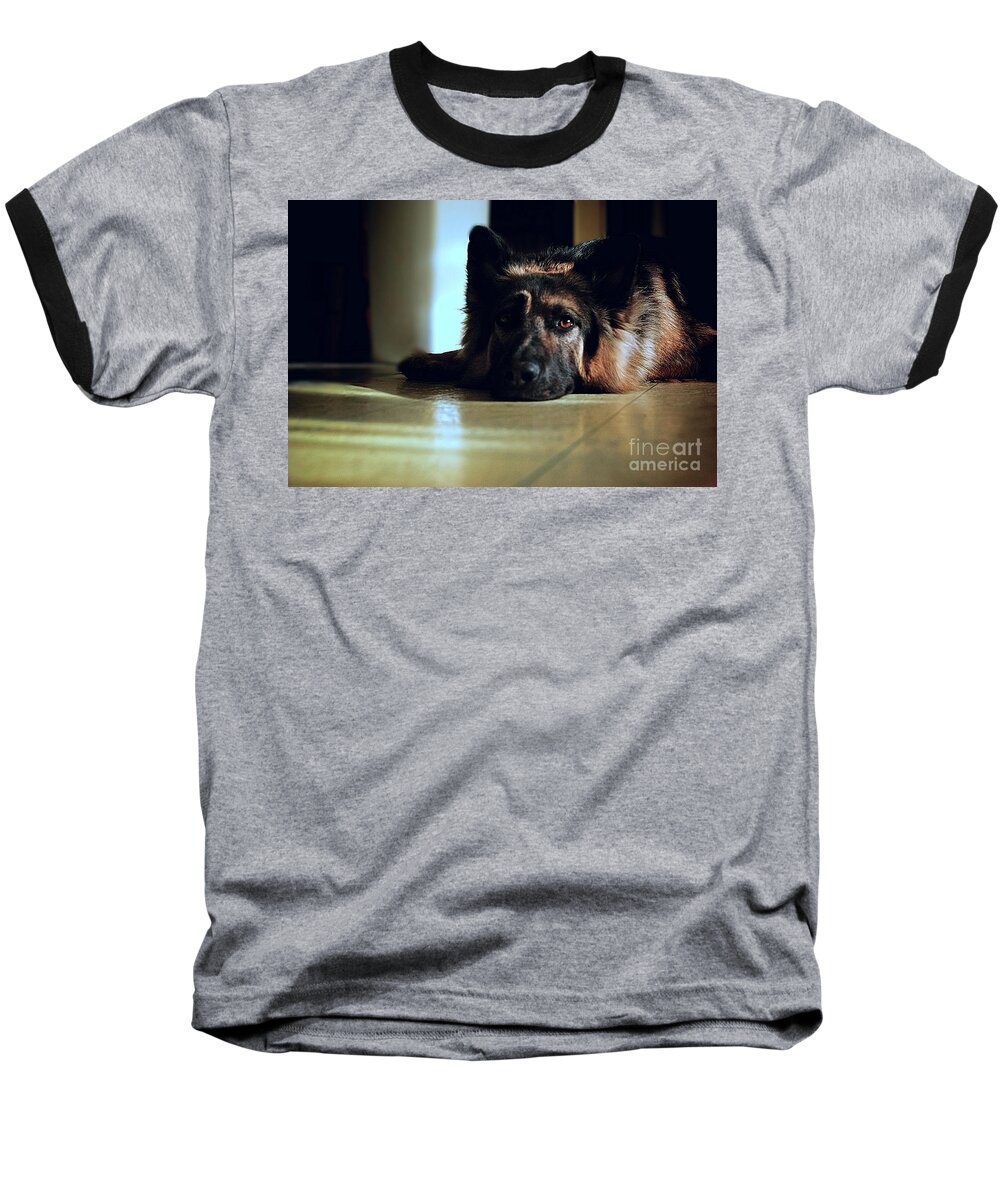 Animal Baseball T-Shirt featuring the photograph When Their Eyes Look At Your Soul by Frank J Casella