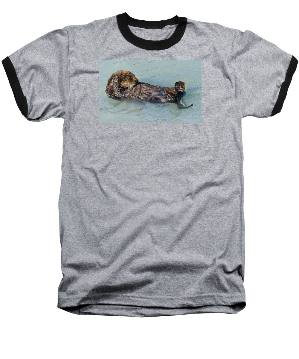 Sea Otter Baseball T-Shirt featuring the photograph Wheres My Navel by Harold Piskiel