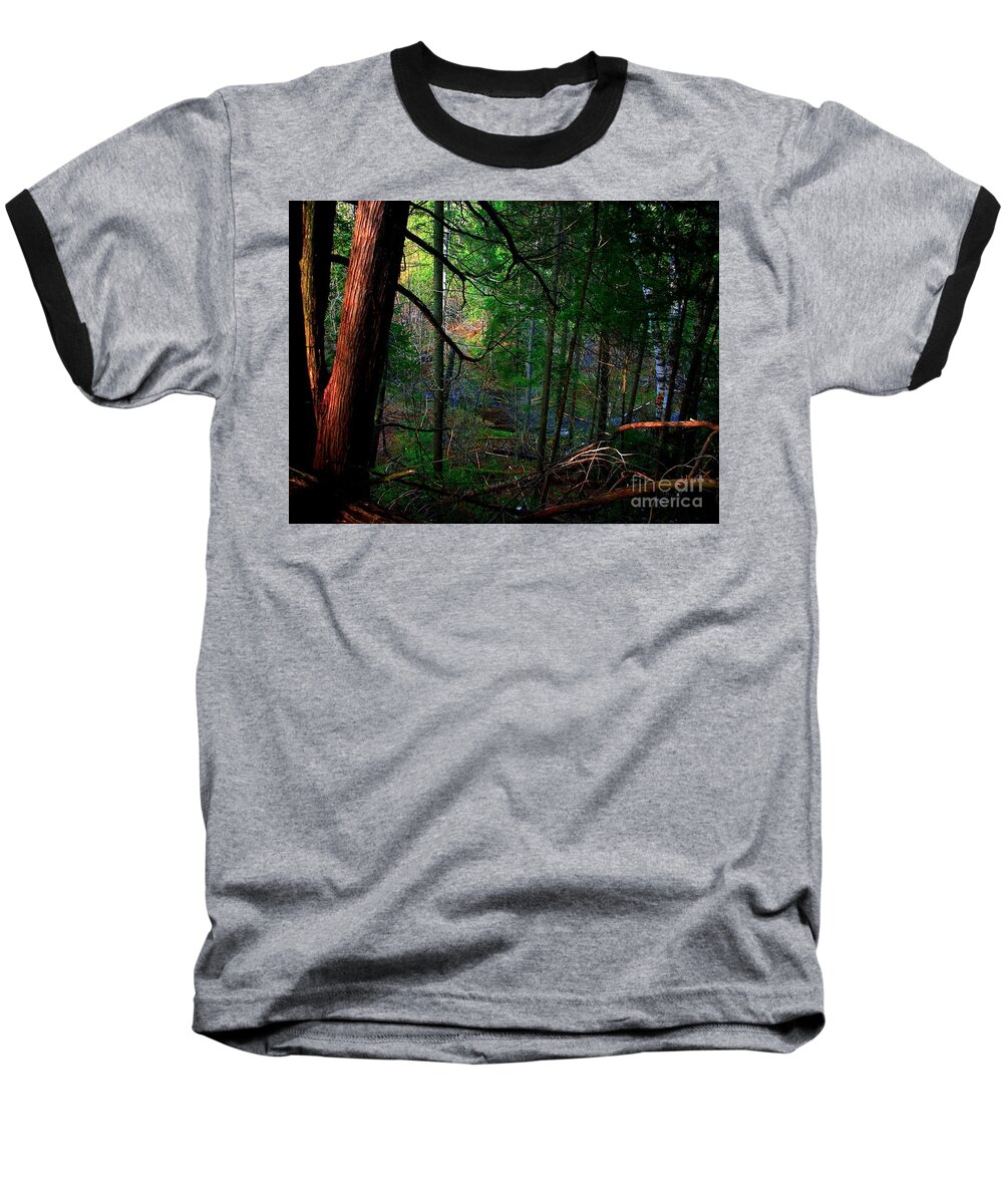 Forest Baseball T-Shirt featuring the photograph Whisperings by Elfriede Fulda