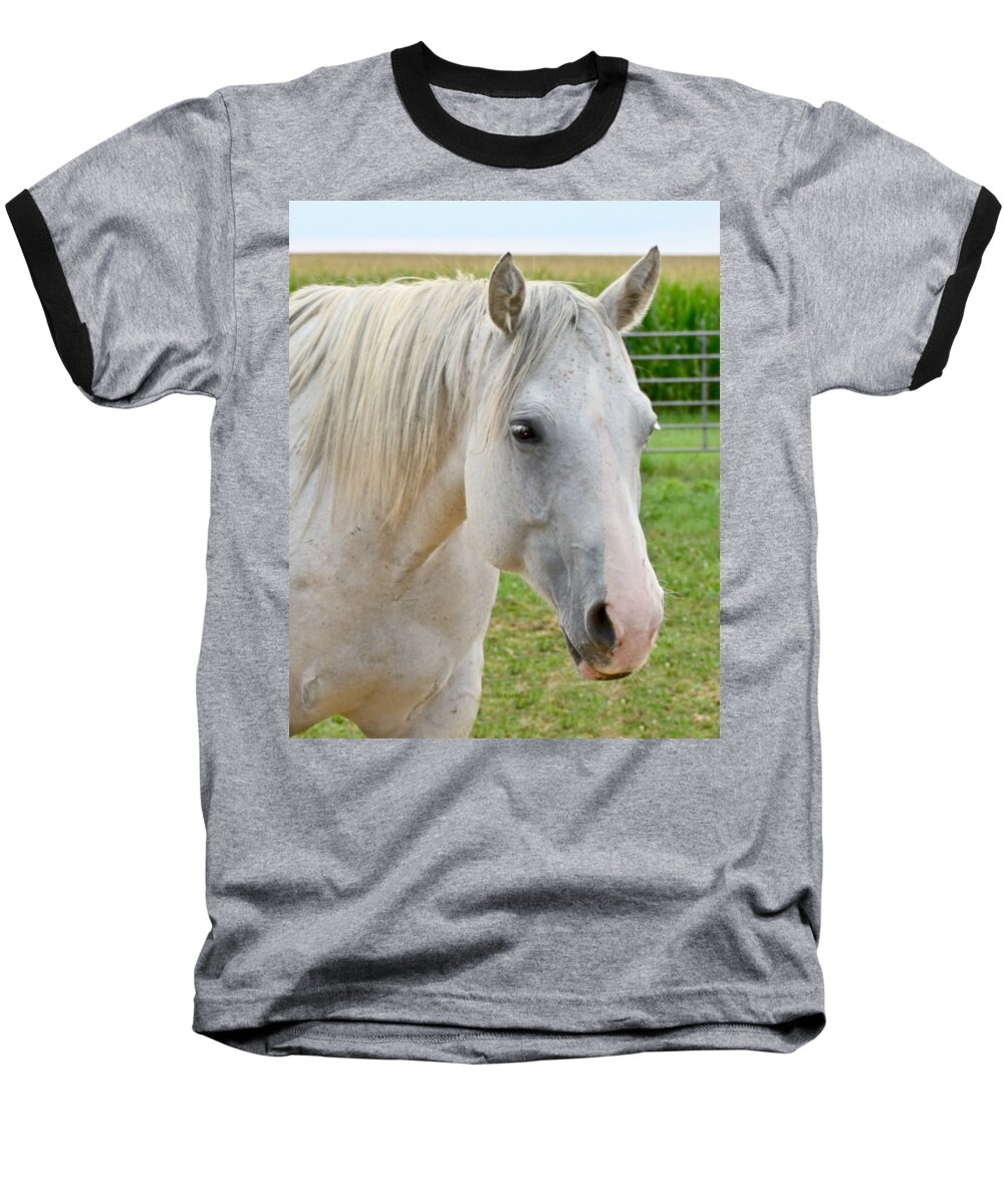 White Horse Baseball T-Shirt featuring the photograph White Beauty by Kathy M Krause