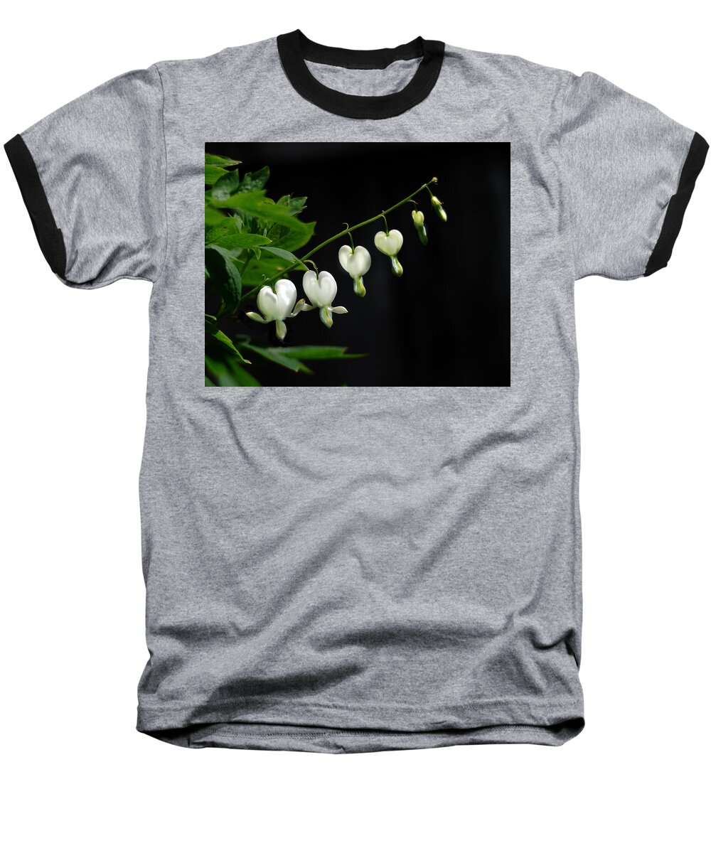 Nature Baseball T-Shirt featuring the photograph White Bleeding Hearts by Sue Capuano