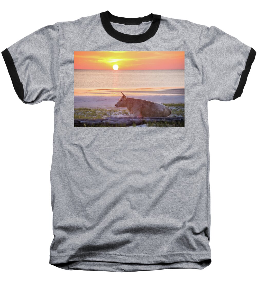 White Baseball T-Shirt featuring the photograph White Cow Sunrise by Paula OMalley