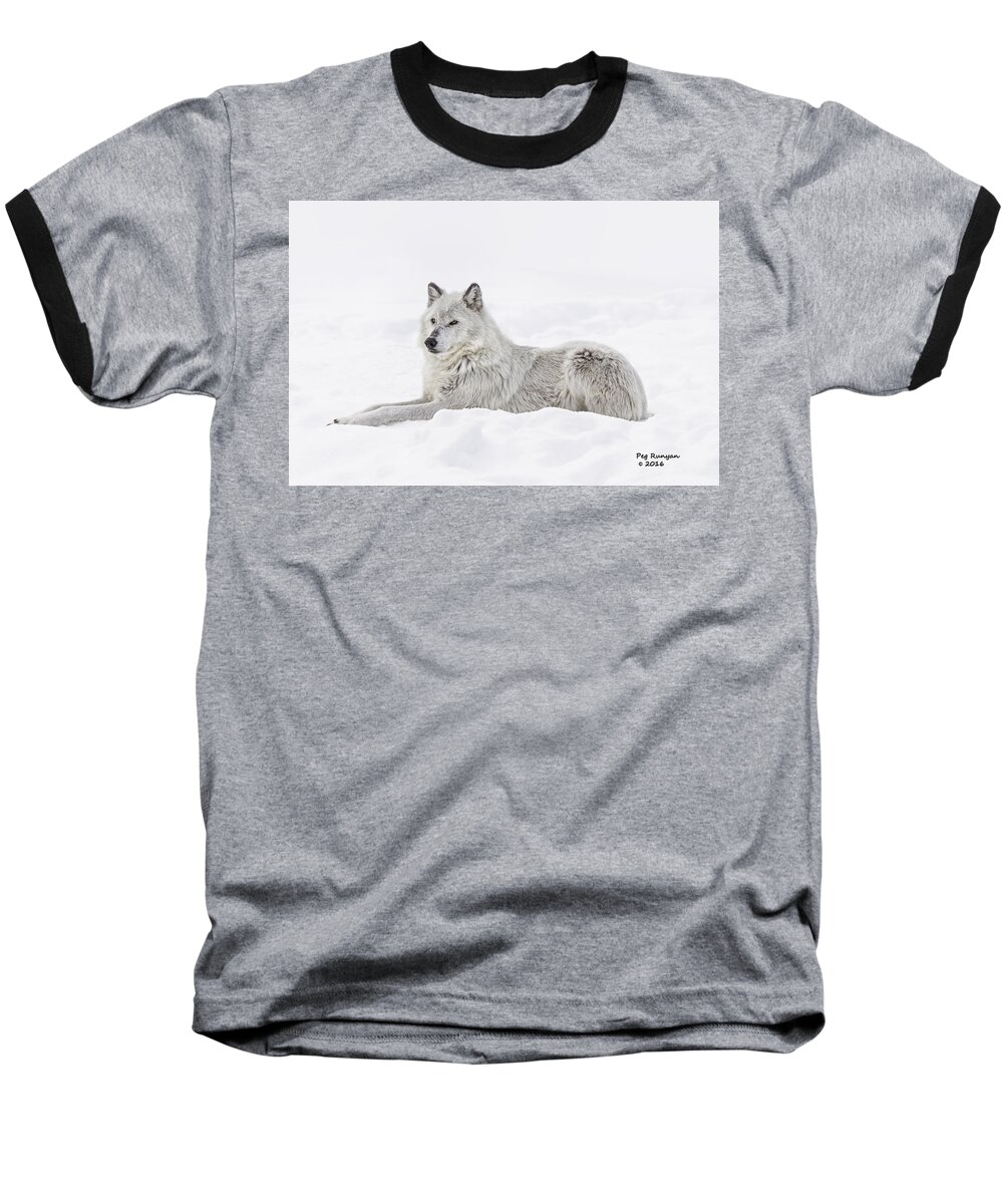 Wolf Baseball T-Shirt featuring the photograph White on White by Peg Runyan