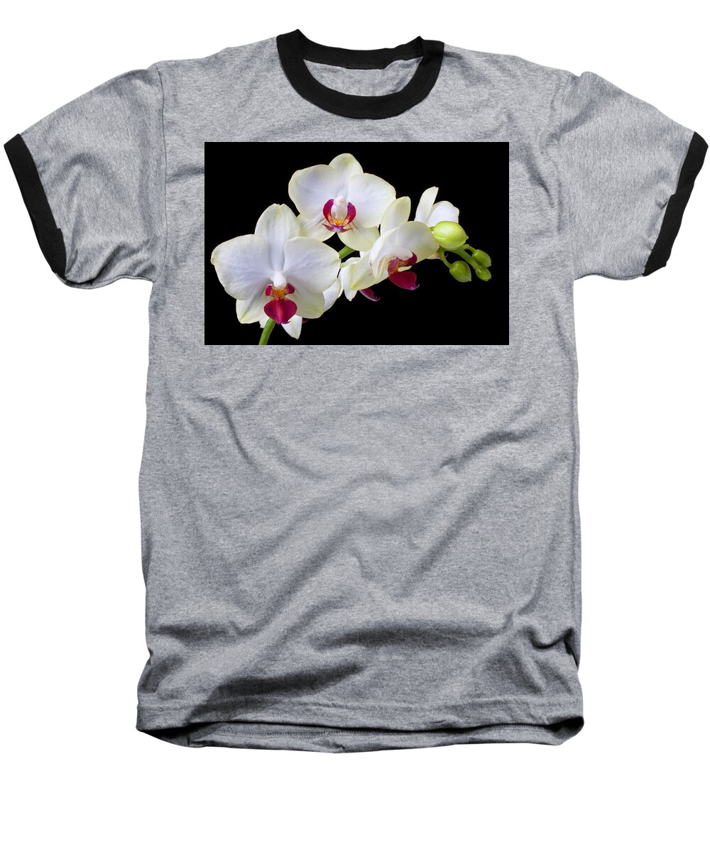 White Orchids Baseball T-Shirt featuring the photograph White Orchids by Garry Gay