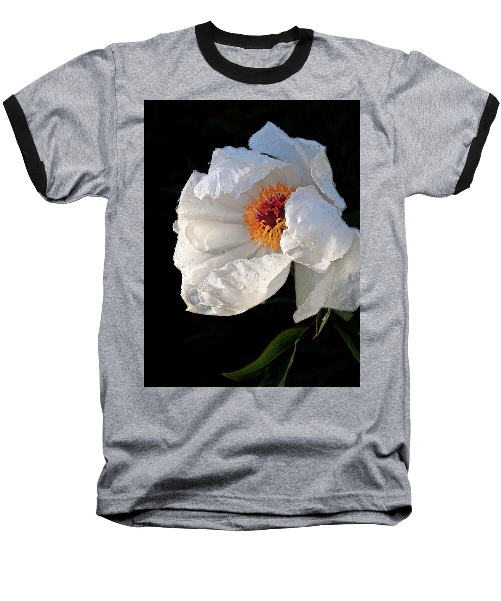 Peony Baseball T-Shirt featuring the photograph White Peony After The Rain by Gill Billington